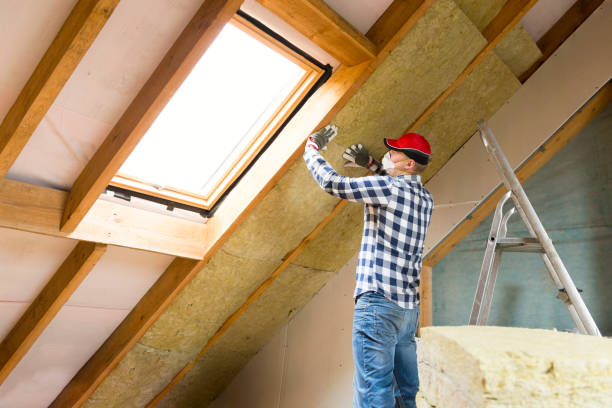 Best Insulation for New Construction  in USA